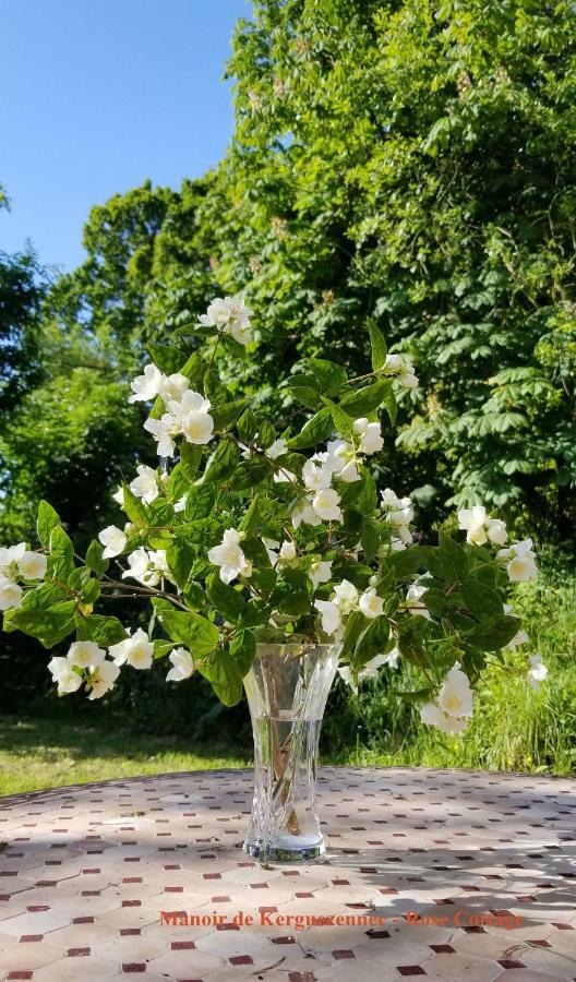 Rose Cottage Pontrieux Exteriér fotografie
